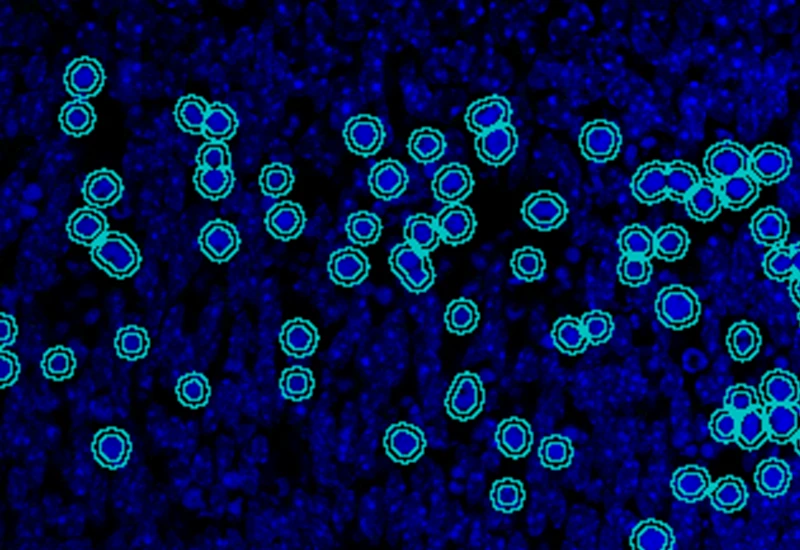 Dynamic Content Image